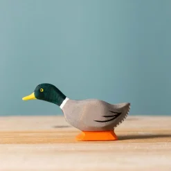 bumbu toys Eend Kop Vooruit