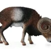 Collecta Moeflon 88682