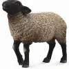 Collecta Suffolk 88636