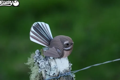 Eugy 3D Bouwpakket Fantail