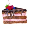 Fritsy Postkaart Chocotaart