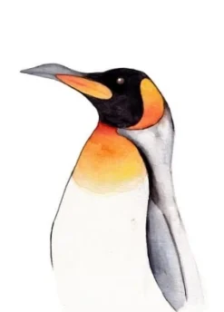Fritsy Postkaart Pinguin