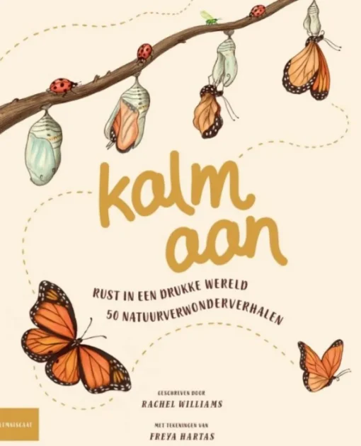 Kalm aan