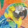 Kleur & onthul | Dieren