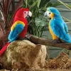 Knuffel Vogel Ara