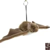 Living Nature Vleermuis
