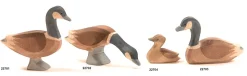 Ostheimer Gans Canadees 22703