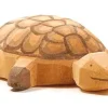 Ostheimer Schildpad 2083