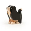 Trauffer Berner Sennenhond Puppy Zittend