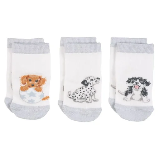 Wrendale Designs Little Paws Baby Socks Set - 6-12 Months