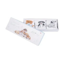 Wrendale Designs Little Paws Baby Socks Set - 6-12 Months