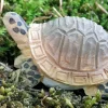 Wudimals Schildpad 40704