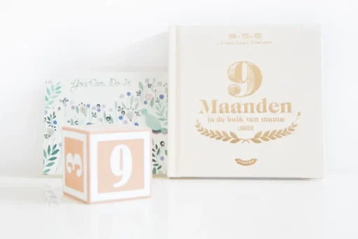 Zwangerschapsboek Invulboek 9 Maanden voor Baby en Mama